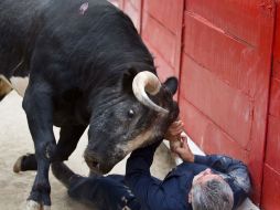 El novillo ''Norteño'', de 425 kilos, arremete contra Salvador Hernández Mariscal. E. PACHECO  /