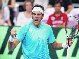 Juan Martín del Potro casi sepultó las esperanzas de Serbia de volver a levantar la Ensaladera de Plata. REUTERS  /