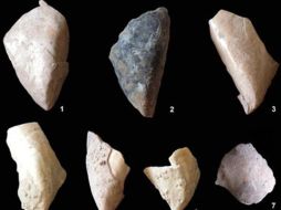 La imagen muestra restos de moluscos. EFE  /