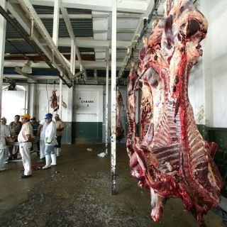 El proyecto ganadero La Señal aún no da señales de vida: UGRJ