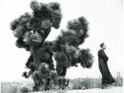 Aspecto de una imagen capturada por Juan Rulfo, quien era además, un gran fotógrafo. ESPECIAL  /