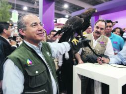 El Mandatario sostiene una águila en la Novena Expo Forestal Siglo XXI. EL UNIVERSAL  /