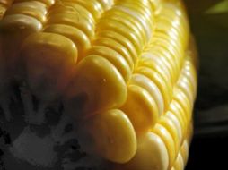 Es muy bajo lo que se está protegiendo, actualmente 600 títulos vigente lo que representa el 40 por ciento. AP  /