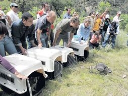 El Centro para la Conservación e Investigación de la Vida Silvestre liberó ayer especiaes de fauna en La Primavera. M. FREYRÍA  /