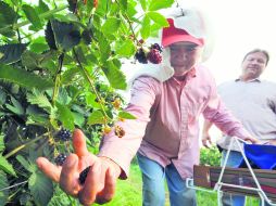 El proyecto busca fortalecer la protección de los derechos de los trabajadores inmigrantes. ARCHIVO  /