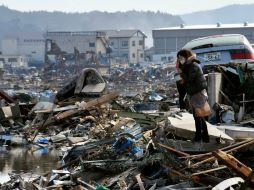 En breve comenzarán a analizar escombros en otros 12 centros de almacenamiento.  /