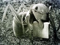 Afirman que se trata de garantizar la socialización de los beneficios. EL UNIVERSAL  /