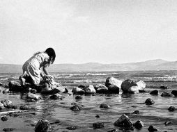 ''Él tenía la gran esperanza de que su fotografía tuviera eco profesional'' declara su hijo Juan Francisco Rulfo. ESPECIAL  /