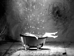 Mención honorífica: Alejandra Germán. ESPECIAL  /