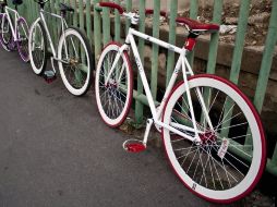 Resaltaron que el bambú en la relación resistencia-peso, es mejor que el acero. ARCHIVO  /