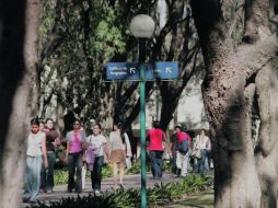 El ITESO ha sido reconocido por su nivel de excelencia en la enseñanza del inglés. ESPECIAL  /