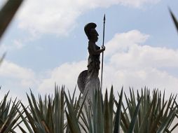 Vista de la Minerva una vez concluídas las obras. ARCHIVO  /