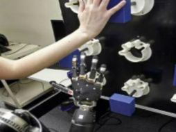 Los electrodos reciben señales eléctricas de las células del cerebro que ordenan los movimientos del brazo robot. ESPECIAL  /