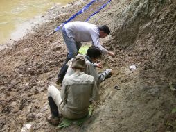 Paleontólogos internacionales hicieron el hallazgo en tres viajes desde el año 2008. EFE  /