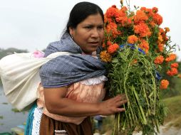 De la mano de los pueblos purépechas la ceremonia toma forma. ARCHIVO  /