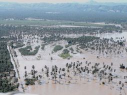 Cientos de hectáreas de cultivo en las costas de Colima y Jalisco permanecen inundadas. EL UNIVERSAL  /