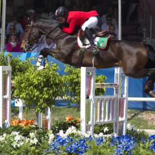 EU vuelve a coronarse en Ecuestre