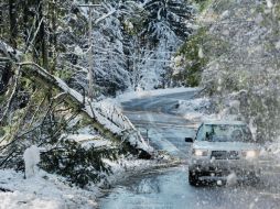 Las calles del Noroeste del país se encuentran dañadas por las lluvias, las nevadas, y el desplome de árboles. AP  /