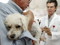 Claudia Llama de la Asociación Salud y Derecho Ambiental A.C, declaró que se tiene un problema de fauna urbana.  /