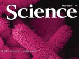 Falseó publicaciones y salpicó investigaciones que se publicaban en la revista de prestigio, Science. ESPECIAL  /