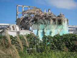 El público japonés se juestra escéptico y hasta cauteloso con todo lo relacionado a Fukushima. AFP PHOTOTEPCO  /