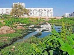 De acuerdo con Pedro León Corrales, de IDEA, hoy 7 de noviembre se interpone la denuncia. NOTIMEX  /