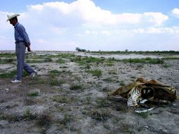 Un total de 28 estados del país han sido afectados por la falta de lluvias como resultado del cambio climático. ARCHIVO  /