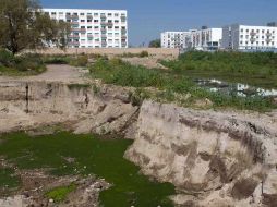 La magistrada aceptó la denuncia y concedió la medida cautelar.  /