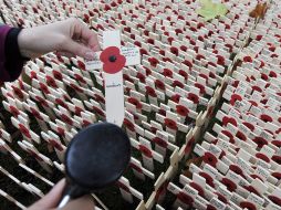 El símbolo de la amapola se verá en un brazalete negro que usarán los jugadores. EFE  /