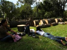 El presidente municpal también aseguró que sí se regulará que su ejecución esté apegada a lineamientos ambientales estrictos.  /