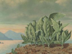 El artista belga es conocido por sus ingeniosas imágenes en las que pretendía cambiar la percepción de la realidad. ESPECIAL  /