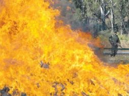 En 2010 se registró el mayor decomiso de drogas por parte de la Policía estatal, con más de 47.5 millones de dosis destruidas. ARCHIVO  /