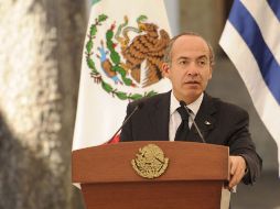 Activistas demandaron al Presidente Felipe Calderón ante la Corte Penal Internacional.  /