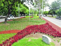 Uno de los proyectos elaborados por la empresa Imex fue el de una ciclovía en Lázaro Cárdenas, aunque no fue aplicado.  /