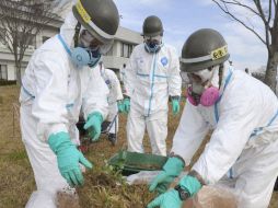 Las explosiones de hidrógeno proyectaron enormes cantidades de materia radiactiva en el medio ambiente. REUTERS  /