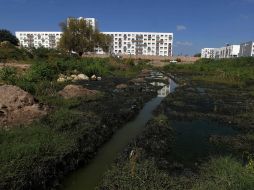 El diputado, Jesús Casillas Romero, anunció que presentaran la propuesta ante el Congreso local, formalmente, en el mes de enero.  /