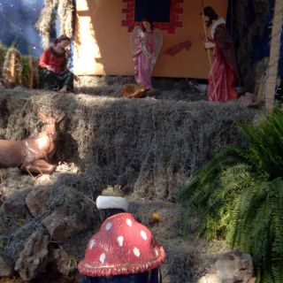 Son Nacimientos tradición compartida por diversas regiones del mundo