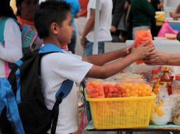 Se prevé crear un reglamento con carácter de obligatorio para generar una mayor restricción y vigilancia de los alimentos. EL UNIVERSAL  /