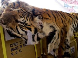 También resultaron culpables de vender en sitios electrónicos populares, un tapete con piel de tigre. EFE  /