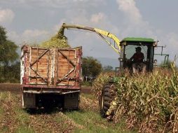 Capacitan al personal de Sagarpa para acercarlos a las nuevas herramientas tecnológicas con las que cuenta la dependencia.  /