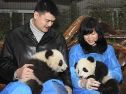 Los osos llegarán al Valle de los Pandas, zona para que los animales se acostumbren al entorno salvaje. REUTERS  /