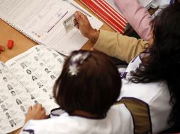 El 67% de los consejeros distritales ya poseen experiencia electoral.  /