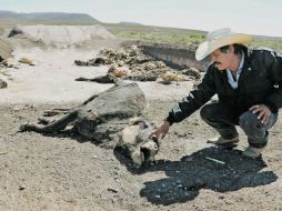 Durante 2011, 30 de las 32 entidades federativas en México sufrieron afectaciones por el clima. EL UNIVERSAL  /