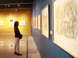 La promotora cultural asegura que 'todos tenemos necesidad cultural'.  /