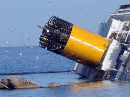Decenas de gaviotas vuelan cerca del crucero Costa Concordia, semihundido. EFE  /