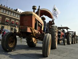 Campesinos chihuahuenses demandan apoyos para enfrentar la crisis generada por la sequía. EFE  /