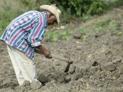 El titular de Conagua pidió calma a la población, asegura que con anticipación se tomaron medidas preventivas. ARCHIVO  /