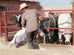 El sector agropecuario disminuyó el 4.4 % respecto a noviembre de 2010. ARCHIVO  /