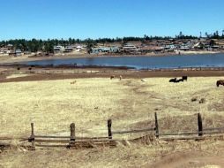 en emergencia por la sequía y las bajas temperaturas. NOTIMEX  /