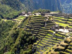 Los autores encontraron que un total de 226 especies endémicas. EFE  /